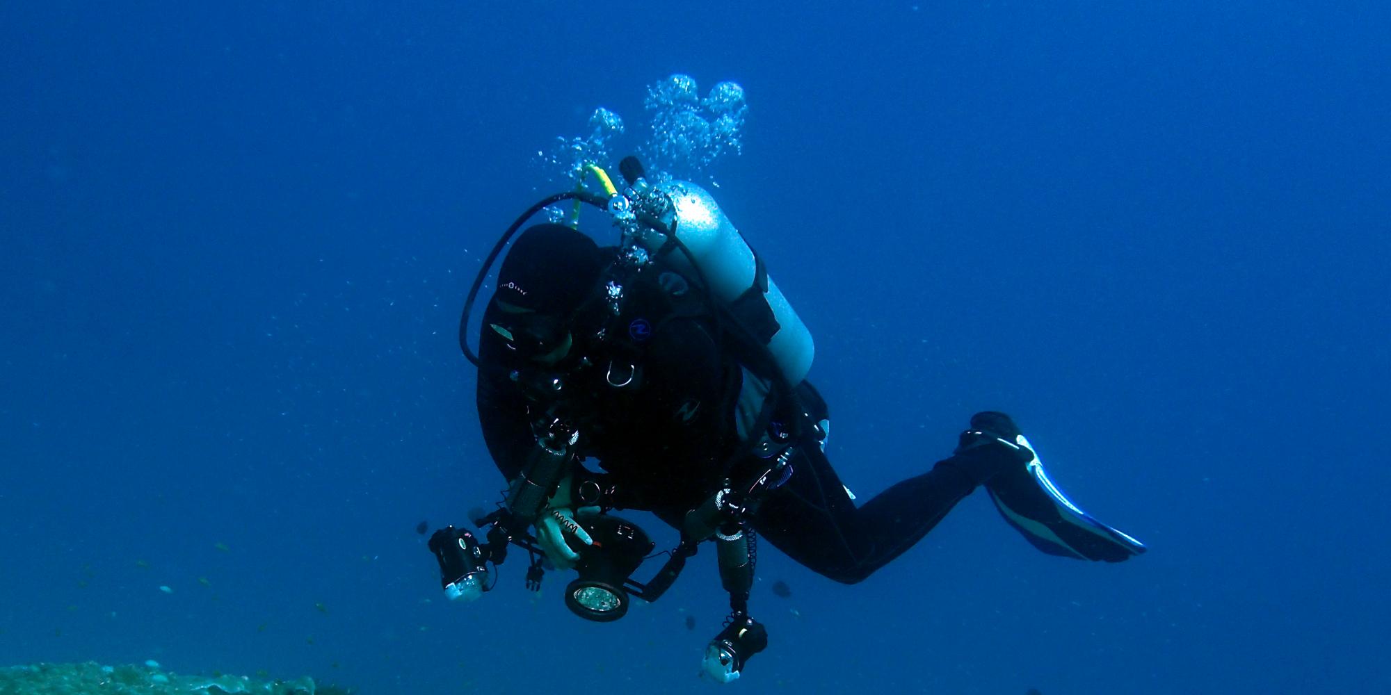 Diving in Asia 2015-16