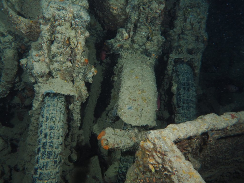 Scuba Diving Egypt 2019