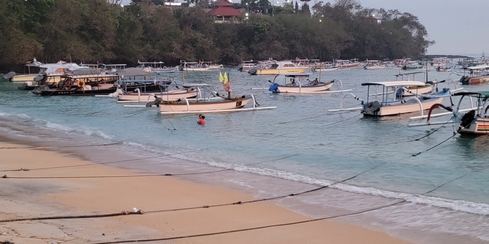 Diving in Indonesia 2024