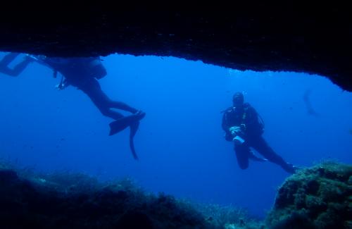 diving in Malta